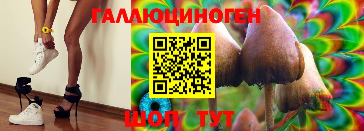 цены   Вход с VPN  Галлюциногенные грибы ЛСД  Дмитров  Галлюциногенные грибы MAGIC MUSHROOMS 